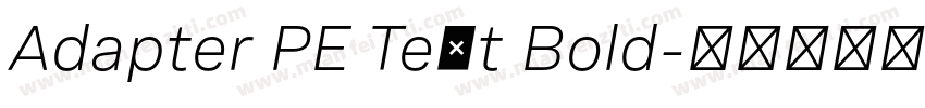 Adapter PE Text Bold字体转换